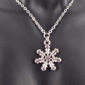 Collier acier inoxydable AI-102