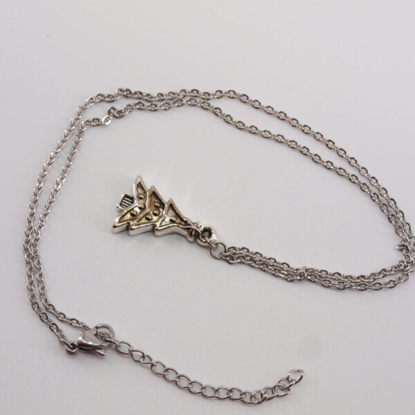 Collier acier inoxydable AI-104
