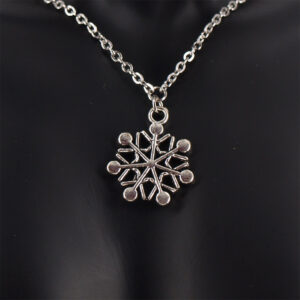 Collier acier inoxydable AI-105
