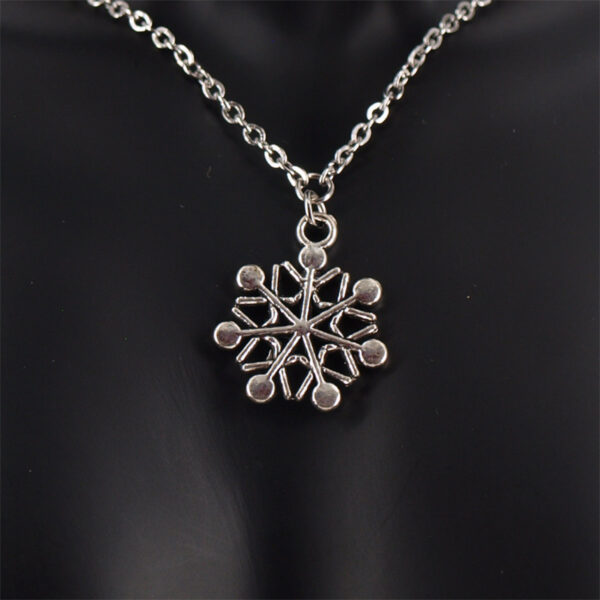 Collier acier inoxydable AI-105