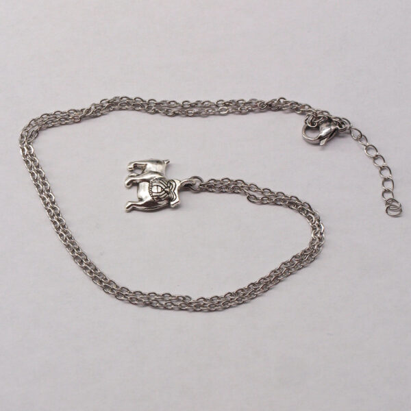 Collier acier inoxydable chien AI-124