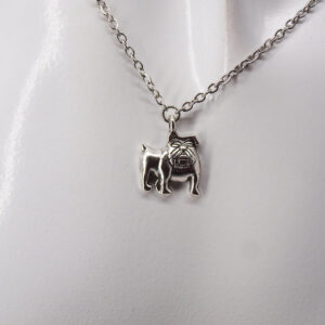 Collier acier inoxydable chien AI-124