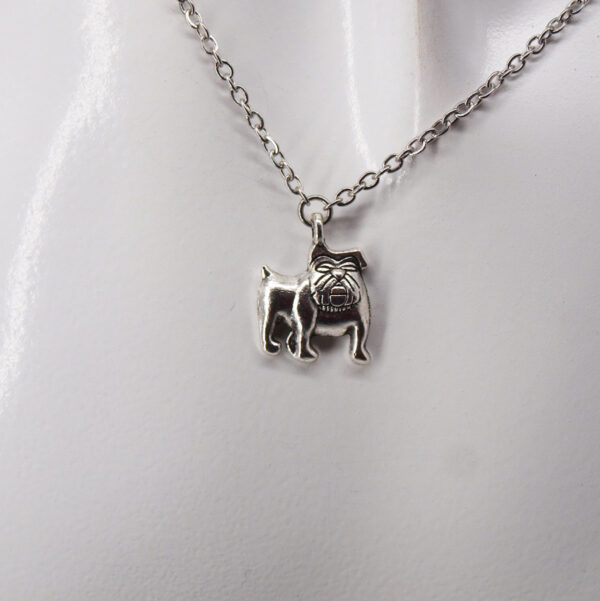 Collier acier inoxydable chien AI-124