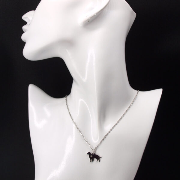 Collier acier inoxydable chien AI-129