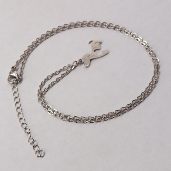 Collier acier inoxydable chien AI-130