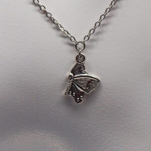 Collier acier inoxydable papillon AI-136