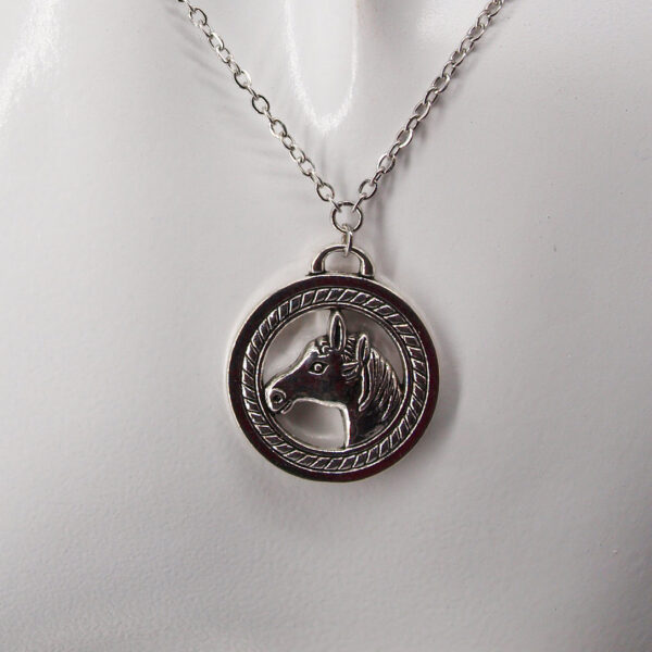 Collier acier inoxydable cheval AI-144