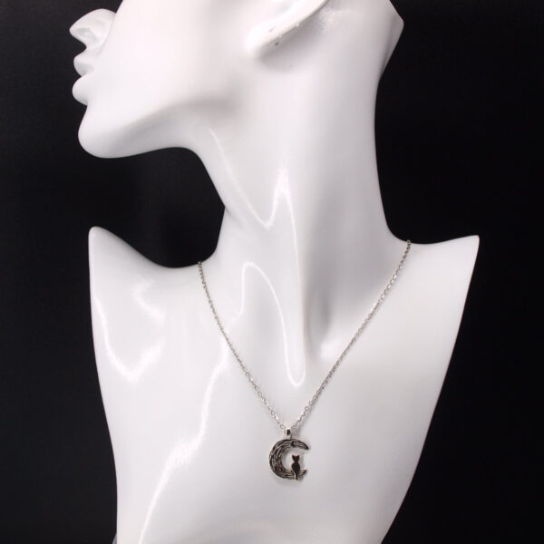 Collier acier inoxydable chat et lune AI-157